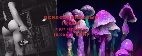 гидра Баксан