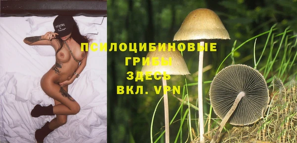 гидра Баксан