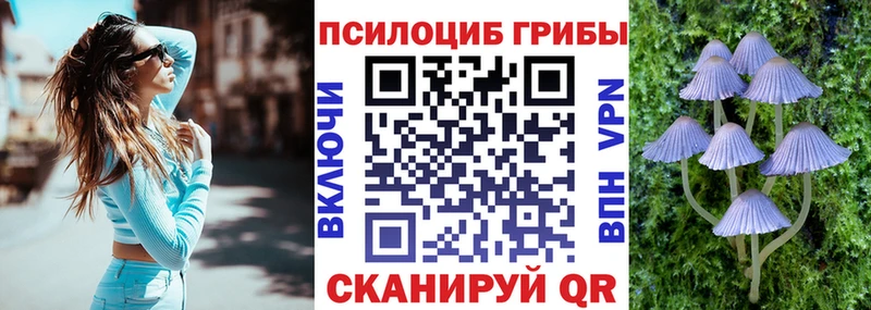Псилоцибиновые грибы MAGIC MUSHROOMS  Жуковка 